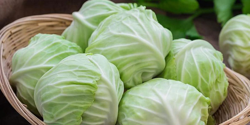 خواص ضد سرطانی کلم پیچ و سایر سبزیجات چلیپایی